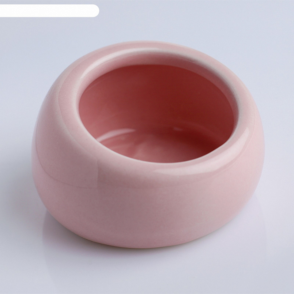 Пижон.Миска керамическая д/грызунов со скошенным краем, 5,7*5,7*3,5 см