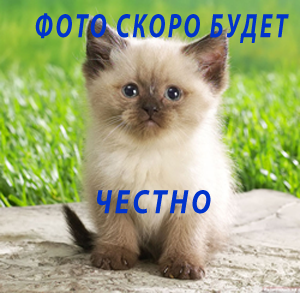 HELLO PET 3310С Щетка массажная МАЛАЯ для кошек с металлическим зубом