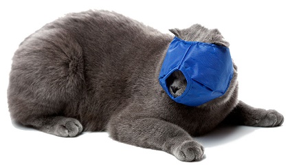 ТОШКА и К Намордник для кошек