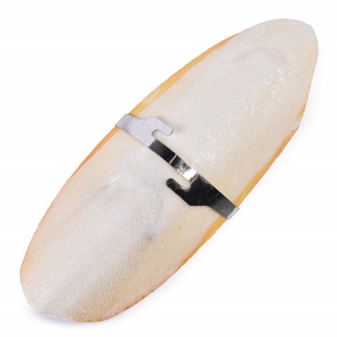 SEPIA Панцирь каракатицы 12,7 см