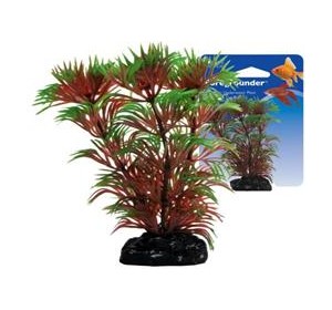 Растение CABOMBA 9 см с грузом красно-зеленое