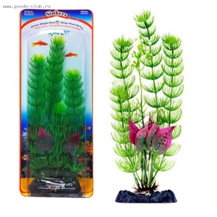 Растение-композиция FLOWERING CABOMBA-MALAY CRIP 20см