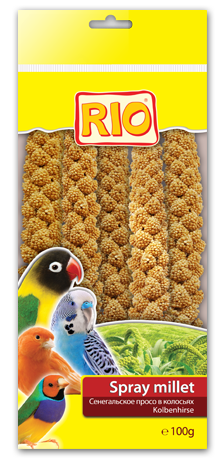 RIO Сенегальское просо в колосьях