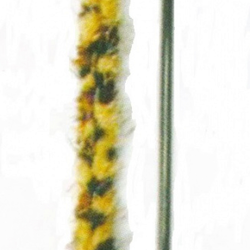 TRIOL C4004 Удочка-дразнилка для кошек ЛЕОПАРД с плюшевым хвостом, 55 см, ручка 40 см