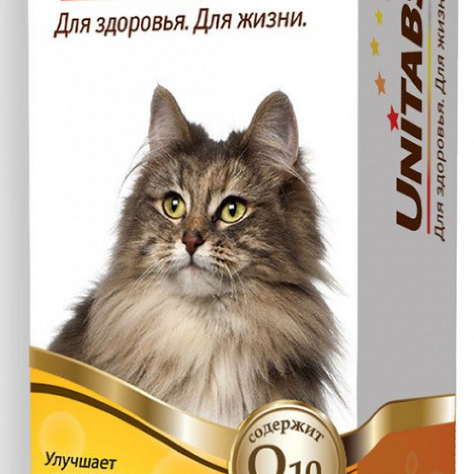 Unitabs Biotin Pius паста 120 мл