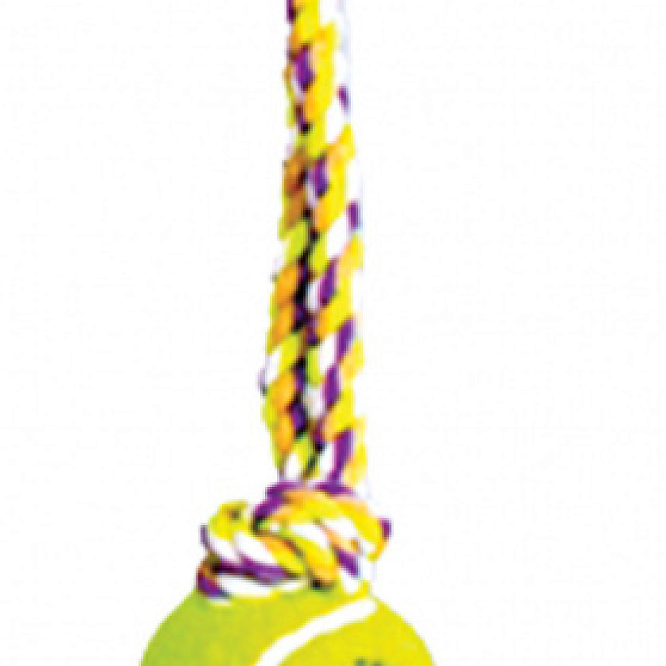 TRIOL 12111029 Веревка цветная длинная с мячом, 130 - 140 гр.